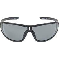 Z3000 Series Safety Glasses, Grey/Smoke Lens, Anti-Fog/Anti-Scratch, ANSI Z87+/Meets/Exceeds CSA Z94.3 D. Morneault & Fils