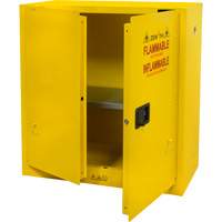 Flammable Storage Cabinet, 30 gal., 2 Door, 43" W x 44" H x 18" D D. Morneault & Fils