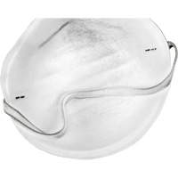 Disposable Nuisance Dust Mask D. Morneault & Fils