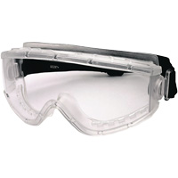 Cambridge Safety Goggles, Clear Lens, Anti-Fog, Indirect Vent D. Morneault & Fils
