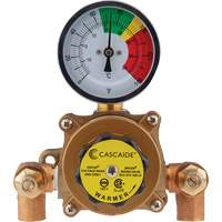 Mixing Valve for Exposed Assembly of Eye/Facewash, 9 gpm D. Morneault & Fils