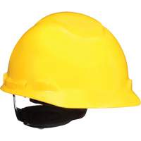 Standard Hard Hats