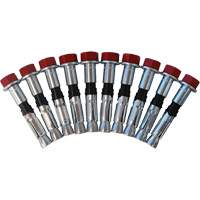Replacement Bolt Kit for Concrete D-Ring Anchors, Bolt-On, Permanent/Temporary Use D. Morneault & Fils