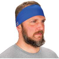 Bandeau de refroidissement Chill-Its 6634, Bleu D. Morneault & Fils