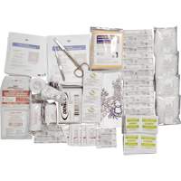 Shield Basic First Aid Kit Refill, Meets CSA Z1220-17 Type 2 Low-Risk Environment, Small (2-25 Workers) D. Morneault & Fils