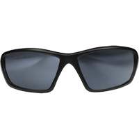 Lunettes de s&eacute;curit&eacute; Robson avec joint, Lentille Miroir argent&eacute;, Anti-&eacute;gratignures/Polaris&eacute;, ANSI Z87+/MCEPS GL-PD 10-12/R&eacute;pond ou surpasse la norme CSA Z94.3 D. Morneault & Fils