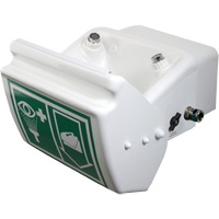 Eye/Face Wash, Wall-Mount Installation, Plastic Bowl D. Morneault & Fils