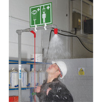 Douche combin&eacute;e avec cuvette ferm&eacute;e en ABS et entr&eacute;e sup&eacute;rieure, Socle D. Morneault & Fils