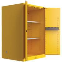 Utili-Guard+ Flammable Safety Cabinet, 45 gal., 2 Door, 43" W x 65" H x 22" D D. Morneault & Fils