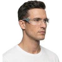 Lunettes de s&eacute;curit&eacute; gris/vert Adapt Lite, Lentille Transparent, Antibu&eacute;e/Anti-&eacute;gratignures, ANSI Z87+/R&eacute;pond ou surpasse la norme CSA Z94.3 D. Morneault & Fils