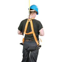 Miller&reg; Titan Contractor's Harnesses, CSA Certified, Class AP, 400 lbs. Cap. D. Morneault & Fils