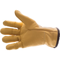 Gants antivibration en cuir Air Glove, Taille T-petit, Paume Cuir fleur D. Morneault & Fils