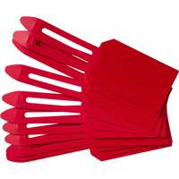 Blank Plastic Lock-On Tags, Plastic, 3-1/4" W x 5-4/5" H, Blank D. Morneault & Fils