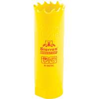Bi-Metal Holesaw - 13/16", 13/16", 2" Depth of Cut, Bi-Metal D. Morneault & Fils