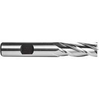 C615 End Mill, 1/4" Dia., 4 Flutes, High Speed Steel D. Morneault & Fils