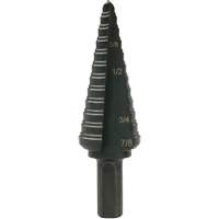 Multi-Hole Step Bit, 3/16"/4.8 mm - 7/8"/#4/22.2 mm  D. Morneault & Fils