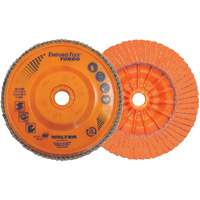Enduro-Flex Turbo Flap Disc, 4-1/2" x 5/8"-11, 36/60 Grit D. Morneault & Fils