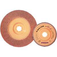 Enduro-Flex Stainless Flap Disc, 4-1/2" x 7/8", Type 27, 40 Grit, Zirconia Alumina D. Morneault & Fils