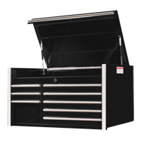 RX Series Tool Chest, 41" W, 8 Drawers, Black D. Morneault & Fils