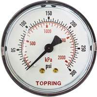 Replacement Pressure Gauge, 2" , 0 - 175 psi, Back Mount, Analogue D. Morneault & Fils