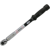 Cl&eacute; dynamom&eacute;trique &agrave; t&ecirc;te fine pour usage intensif, &agrave; cliquer, Entraînement 3/8" carr&eacute;, 10 - 80 lb-pi D. Morneault & Fils