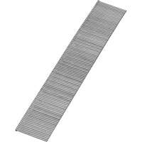 Brad Nails D. Morneault & Fils