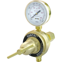Medium-to-Heavy-Duty Station Regulator, Propane, 7/8"-14LH(F) Inlet D. Morneault & Fils