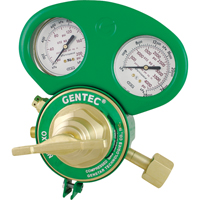 153 Series - Gauge Protectors D. Morneault & Fils