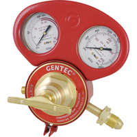 153 Series - Gauge Protectors D. Morneault & Fils