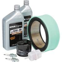 Kohler&reg; Tune Up Kit for Engine Maintenance D. Morneault & Fils
