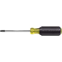 Tournevis Klein a/manche caoutchout&eacute;-Tournevis Torx &agrave; tige ronde D. Morneault & Fils
