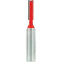 Router Bit - Double Flute Straight Bit, 5/16" Dia., 1" H, 2-3/4" L D. Morneault & Fils