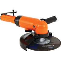 2260 Series - Right Angle Grinder, 6" Wheel, 1/2" Inlet, 12,000 RPM D. Morneault & Fils