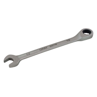 Combination Fixed Head Ratcheting Wrench, 12 Point, 5/16", Stainless Steel Finish D. Morneault & Fils