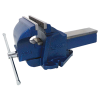 Ductile Iron Mechanics Bench Vise, 8" Jaw Width, 4" Throat Depth D. Morneault & Fils