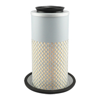 PA3833 Air Element D. Morneault & Fils