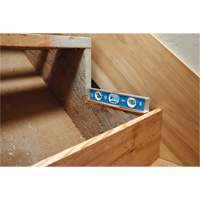 Torpedo Level, 10" L, Aluminum, 1 Vials, Magnetic D. Morneault & Fils