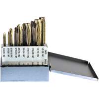 DRILLCO Tap Set, 10 Pieces D. Morneault & Fils
