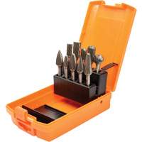 DC Carbide Burr Kit, 10 Pieces D. Morneault & Fils