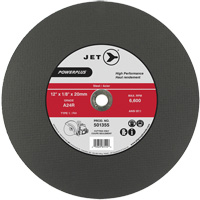 A24R PowerPlus Cut-Off Wheel, 12" x 1/8", 20 mm Arbor, Type 1, 6600 RPM D. Morneault & Fils