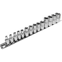 SS314TS  Standard External Socket Sets, Torx&reg;, 1/2"/1/4"/3/8" Drive, 14 Pcs D. Morneault & Fils