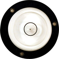 Bull's-Eye Level D. Morneault & Fils