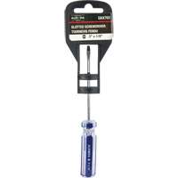 Blue Transparent Striped Slotted Screwdriver, 1/8" Tip, Round, Plastic Handle D. Morneault & Fils