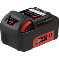 Bloc-pile, Lithium-ion, 40 V D. Morneault & Fils