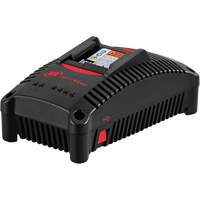 Chargeur de batterie IQV40, 40 V, Lithium-ion D. Morneault & Fils