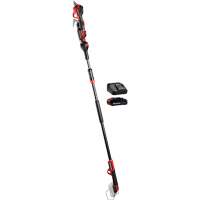 2-in-1 Professional Cordless Telescopic Pole Pruning Shear with 2.5Ah Battery & Charger Starter Kit D. Morneault & Fils