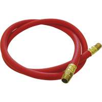 Tuyau de raccordement pour d&eacute;vidoir de tuyau, Air, Caoutchouc EDPM, 1/2" dia. x 5', 300 psi, 1/2 NPT D. Morneault & Fils