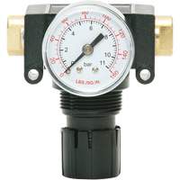 D&eacute;tendeur &agrave; piston en ac&eacute;tal MODULAIR 200, 1/4" NPT, PSI max. de 150 psi, Canalisation/Modulaire D. Morneault & Fils