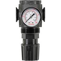 D&eacute;tendeur &agrave; diaphragme en zinc MODULAIR 300, 3/8" NPT, PSI max. de 300 psi, Canalisation/Modulaire D. Morneault & Fils