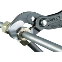 Raptor Pliers, 10" D. Morneault & Fils